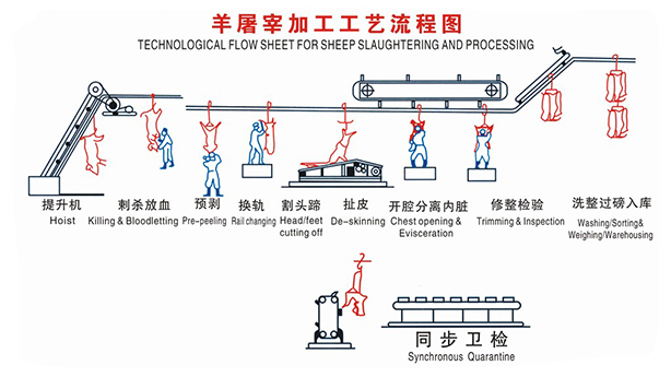 l3羊屠宰工藝流程.jpg